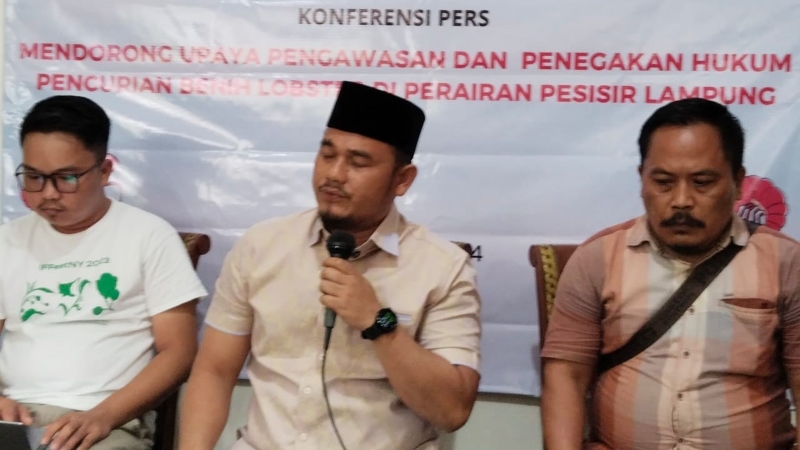 Wahrul Fauzi Desak Polda Bongkar Sindikat Pencurian Benih Lobster di Pesisir Barat