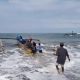 Polres Pesisir Barat Berkomitmen Basmi Ilegal Fishing, Tangkap Pelaku Penyelundupan BBL