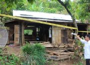 Tragedi Serangan Gajah Liar di Tanggamus, Satu Warga Tewas