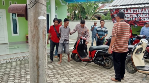 Warga Tangkap Pencuri Biji Kopi, Kerja Sama Apik Warga dan Polisi