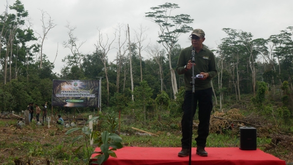 Sumatera Selatan Ikut Serta dalam Gerakan Penanaman Pohon Nasional