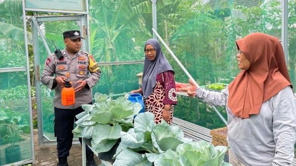Bhabinkamtibmas Dampingi KWT El Wardah Wujudkan Ketahanan Pangan di Probolinggo