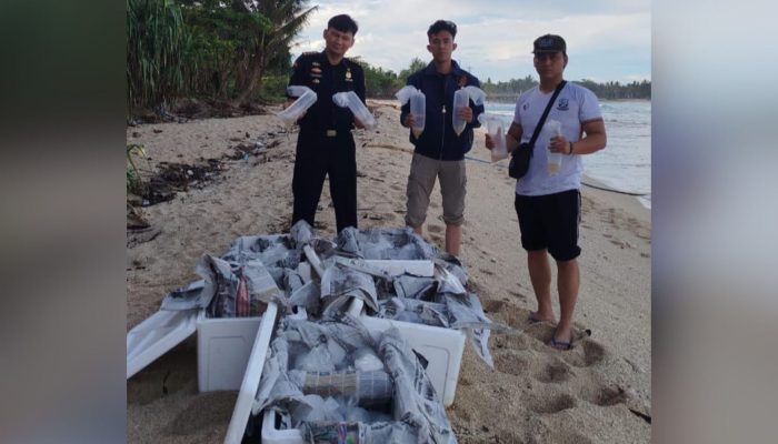 Dua Tersangka Baru Ditangkap dalam Kasus Penyelundupan BBL di Pesisir Barat