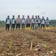 Polsek Rambutan Tanam Jagung, Dukung Ketahanan Pangan Nasional