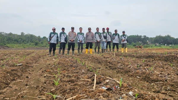 Polsek Rambutan Tanam Jagung, Dukung Ketahanan Pangan Nasional