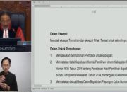 Aries Sandi Darma Putra Didiskualifikasi, MK Batalkan Kemenangan di Pilkada Pesawaran