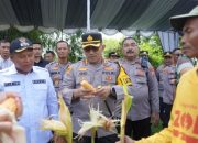 Polres Probolinggo Kota Dukung Swasembada Pangan dengan Panen Raya Jagung