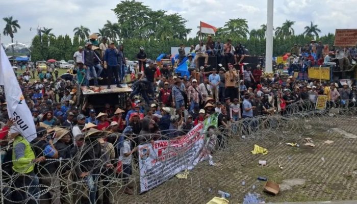 DPRD Lampung Tegaskan Harga Ubi Kayu Rp1.400 per Kg Berlaku Besok