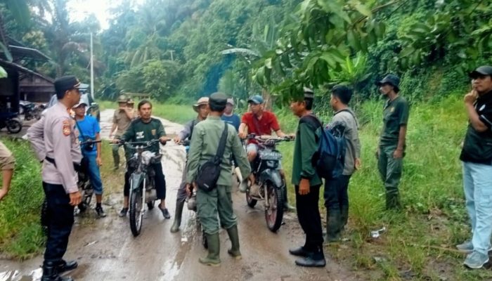 Gajah Liar Resahkan Warga Semaka, Tim Gabungan Giring Kembali ke TNBBS