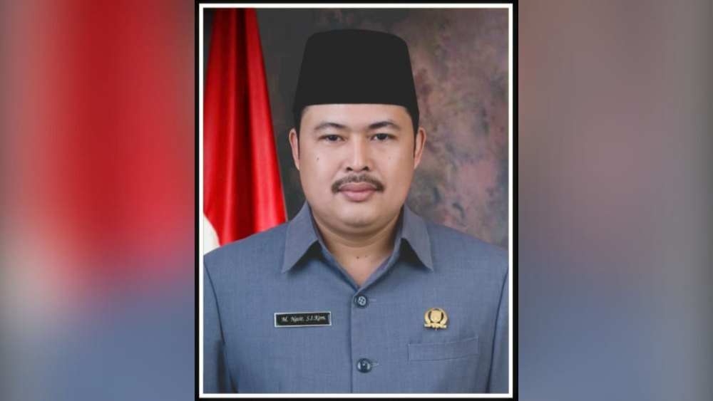 Ketua DPD NasDem Pesawaran: KPU dan Aries Sandi Merugikan Negara Akibat PSU