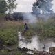 Konflik Gajah-Manusia Kembali Pecah di Air Sugihan, Habitat Menyusut Jadi Pemicu