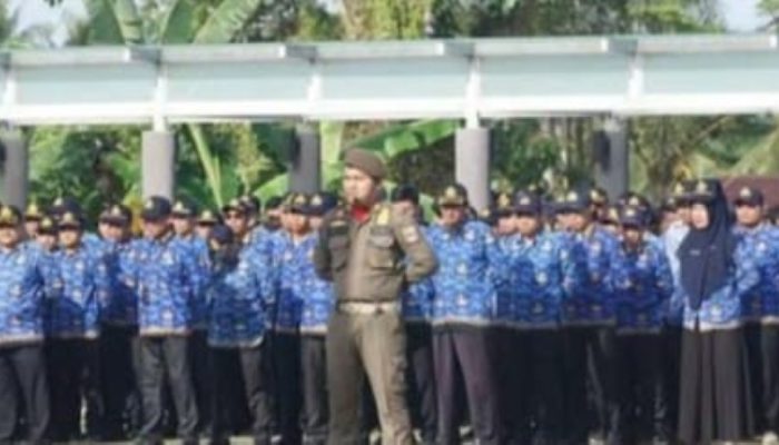1.998 TKD Pesisir Barat Diperpanjang Kontrak, Gaji Tetap Dibayar