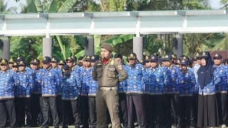 1.998 TKD Pesisir Barat Diperpanjang Kontrak, Gaji Tetap Dibayar