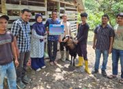 PGE Salurkan Bantuan Bibit Kambing dan Kandang untuk Peternak Lubok Pusaka