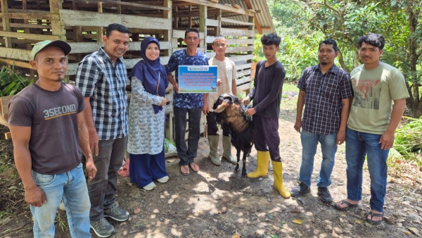 PGE Salurkan Bantuan Bibit Kambing dan Kandang untuk Peternak Lubok Pusaka