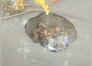 Jalur Mudik Kute Tengah Rusak Parah, Perbaikan Jalan Dimulai Jelang Lebaran
