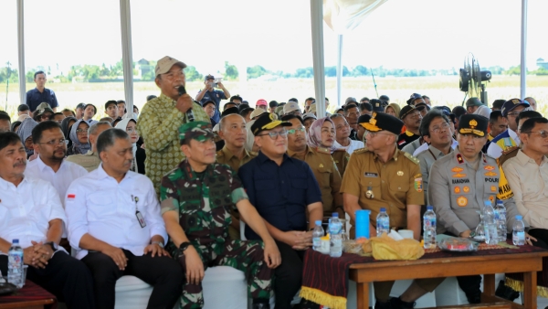 Lampung Optimis Produksi Padi Melonjak Jadi 3,5 Juta Ton di 2025