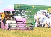 Lampung Panen Raya, Pemerintah Pasang Badan Jaga Harga Gabah