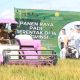 Lampung Panen Raya, Pemerintah Pasang Badan Jaga Harga Gabah