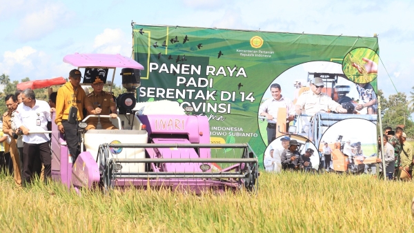 Lampung Panen Raya, Pemerintah Pasang Badan Jaga Harga Gabah