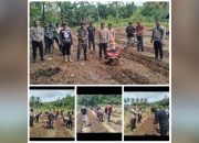 Polsek Manganitu Selatan Aktif Dukung Ketahanan Pangan dengan Menanam Jagung