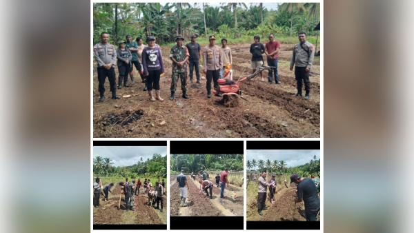 Polsek Manganitu Selatan Aktif Dukung Ketahanan Pangan dengan Menanam Jagung