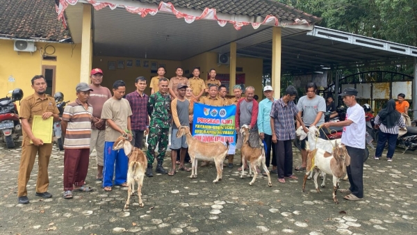 Program Ketahanan Pangan K3W di Tubaba Terus Bergulir, Bantuan Kambing Bergulir Berbuah Hasil