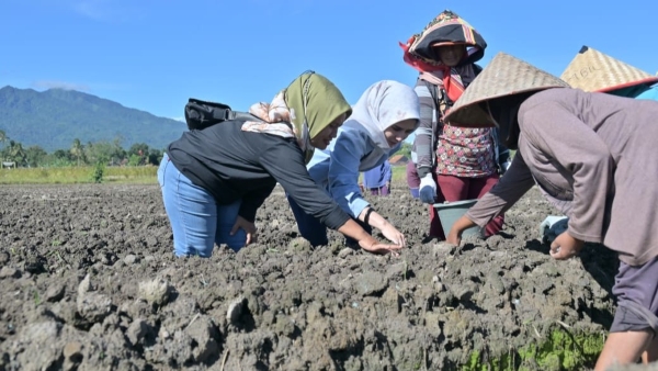 Bunda KWT Pesawaran Dukung Petani Bawang, Janjikan Program Pertanian Unggul