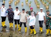 Gubernur Lampung Tanam Mangrove dan Tinjau Inovasi Appostrap di Pesawaran