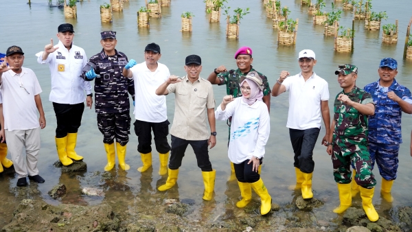 Gubernur Lampung Tanam Mangrove dan Tinjau Inovasi Appostrap di Pesawaran