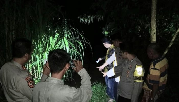 Polsek Semaka dan Uspika Imbau Warga Setop Aktivitas di Way Semaka Pasca Serangan Buaya