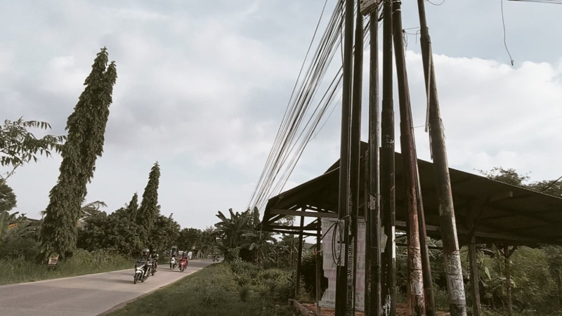 Maraknya Tiang Wifi di Lampung Selatan Tuai Sorotan, Tata Ruang dan Estetika Diabaikan