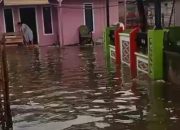 Banjir Rob Terjang Pesisir Kota Agung Tanggamus, Puluhan Rumah Terendam