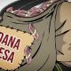 Dana Desa