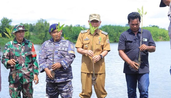Bupati Qudrotul Ikhwan Ajak Warga Lestarikan Hutan Mangrove