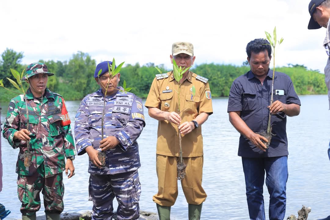 Bupati Tulang Bawang Qudrotul Ikhwan bersama jajaran TNI dan masyarakat menanam pohon mangrove di pesisir Kampung Dipasena Mulia, Kecamatan Rawajitu Timur, Selasa (6/5/2025).