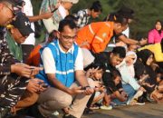 PLN NP Lepas Ratusan Tukik dan Penyu Sisik di Pacitan, Perkuat Komitmen Konservasi Laut