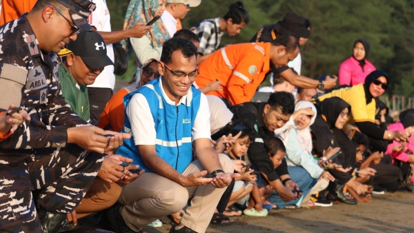 PLN NP Lepas Ratusan Tukik dan Penyu Sisik di Pacitan, Perkuat Komitmen Konservasi Laut