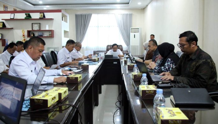 Pemkab Lampung Selatan dan BPKP Bahas Strategi Tingkatkan PAD