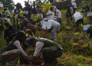 PLN Nusantara Power, WWF, dan Kementerian Kehutanan Bersinergi Hijaukan Hulu Ciliwung