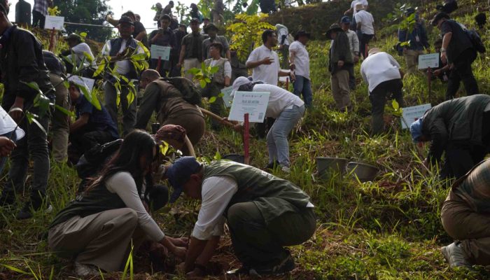 PLN Nusantara Power, WWF, dan Kementerian Kehutanan Bersinergi Hijaukan Hulu Ciliwung