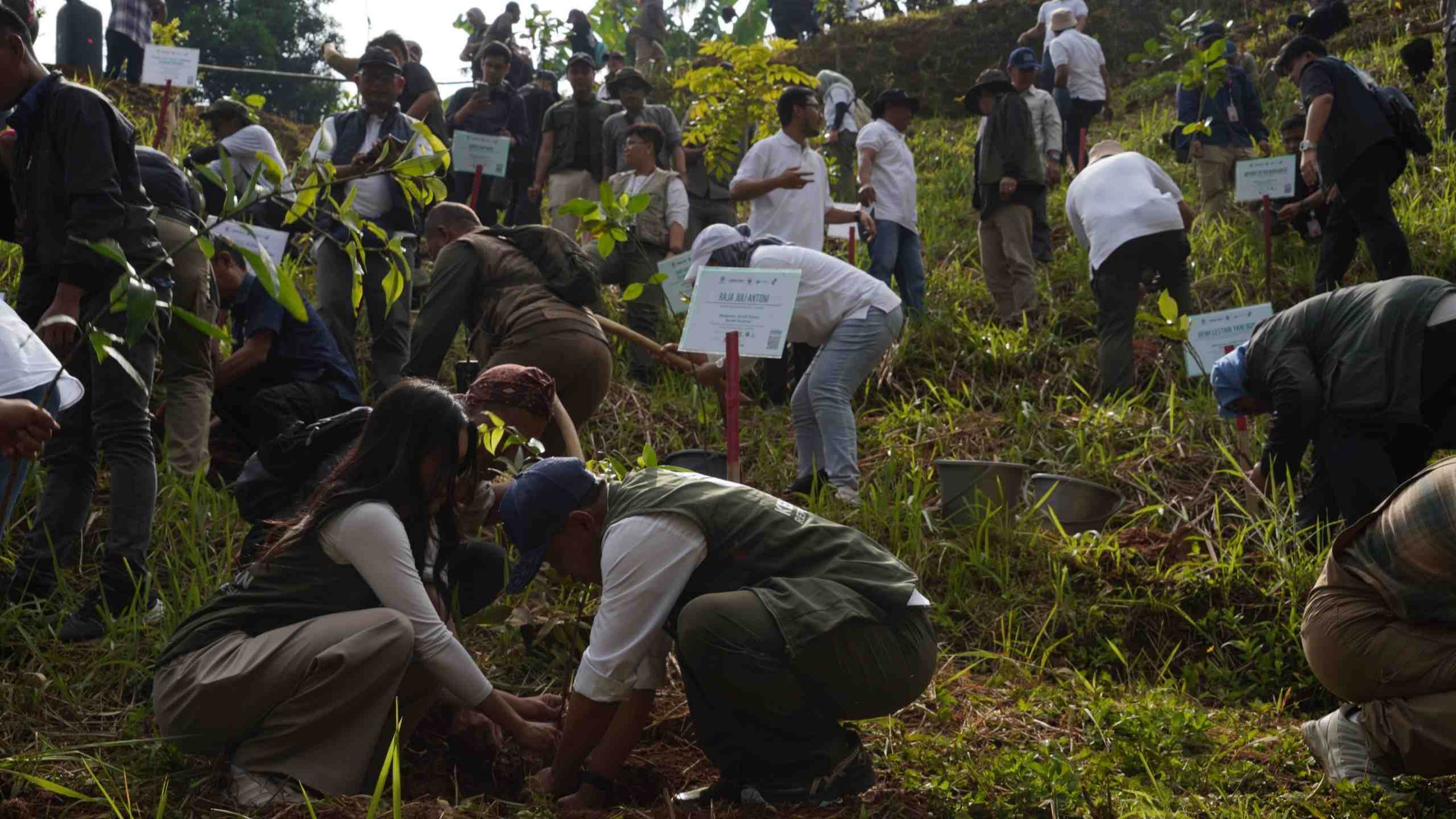 PLN Nusantara Power, WWF, dan Kementerian Kehutanan Bersinergi Hijaukan Hulu Ciliwung