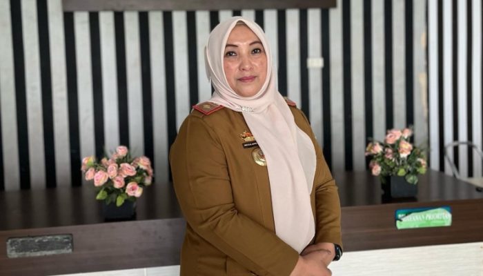 Beredar Isu Tarif Mahal, Dinkes Pesawaran: Sudah Ada Aturannya