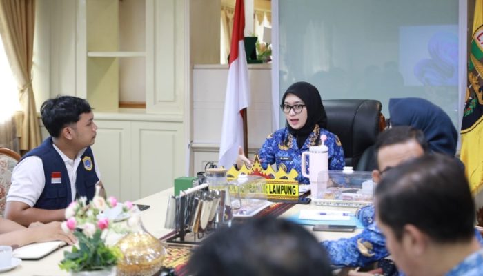Wagub Jihan Ajak Perangi Hoaks, Gandeng Mafindo Perkuat Literasi Digital