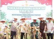 Bupati Banyuasin Heran, Panen Jagung Polres Banyuasin Sangat Subur dan Besar