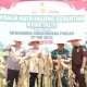 Bupati Banyuasin Heran, Panen Jagung Polres Banyuasin Sangat Subur dan Besar