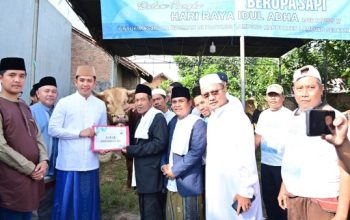 Bupati Egi Salurkan Sapi Kurban Presiden Prabowo di Lampung Selatan