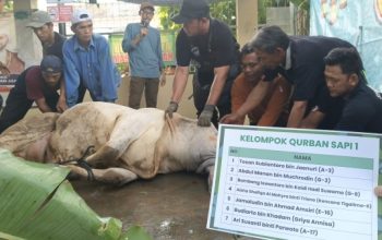 Semarak Idul Adha di Masjid Al Iman Bandar Lampung, Sembelih 10 Sapi, 3 Kambing, dan 34 Domba