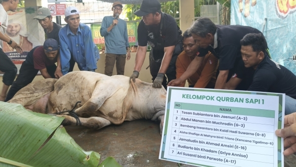 Semarak Idul Adha di Masjid Al Iman Bandar Lampung, Sembelih 10 Sapi, 3 Kambing, dan 34 Domba