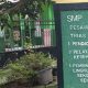 Guru SMPN 19 Pesawaran Diduga Lakukan Perundungan Verbal Terhadap Siswa